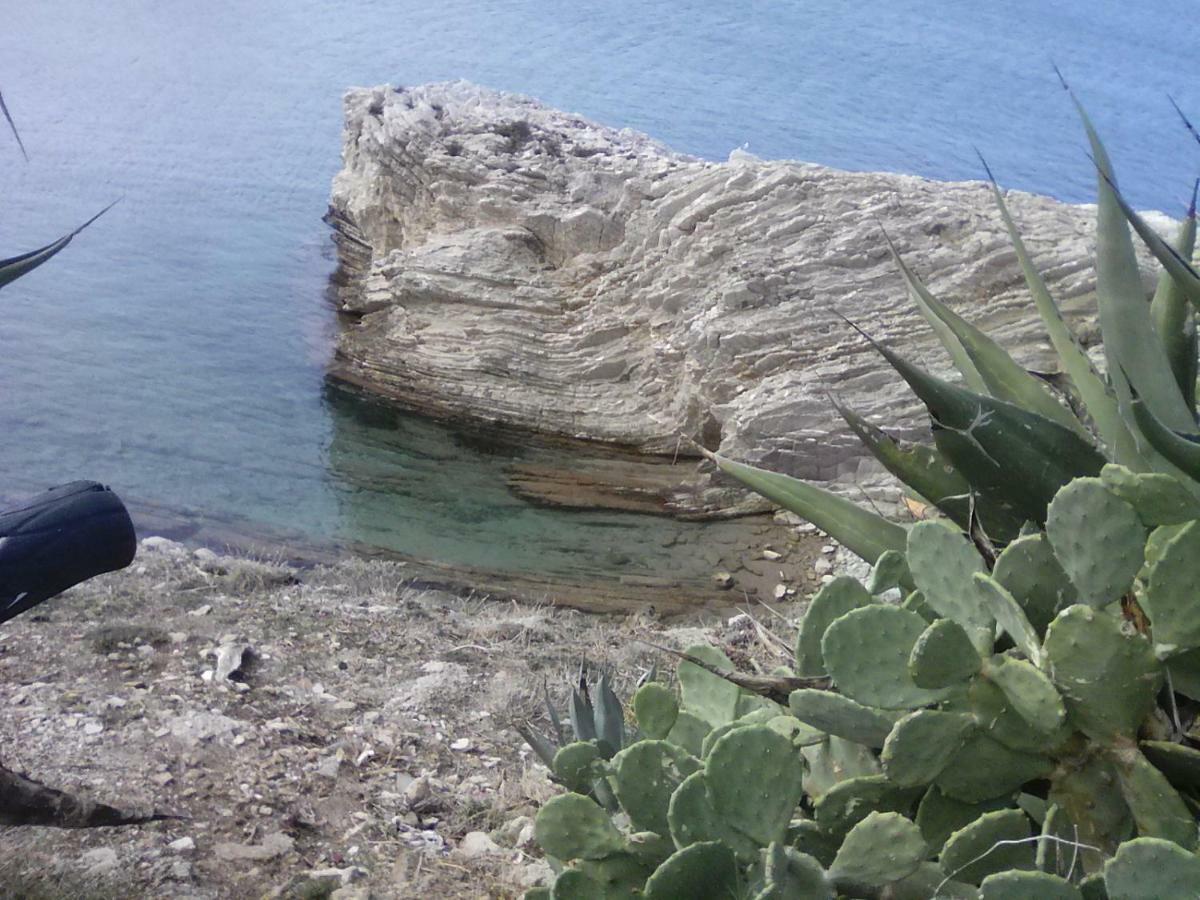 Case Vacanze Terra Sinus Terrasini Exterior photo